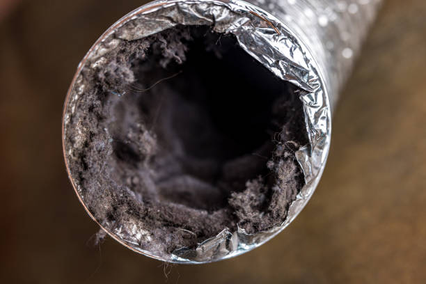 Best Air Duct Cleaning Company Near Me  in Diamondhead, MS